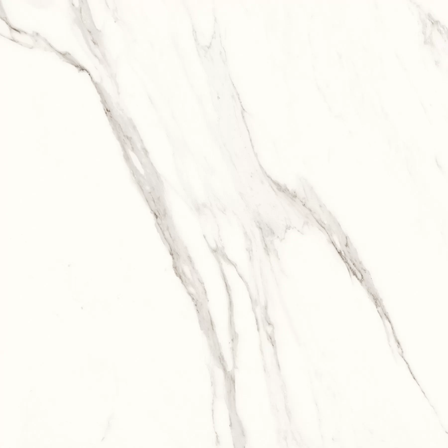 Керамогранит Calacatta Superb полированный 60x60