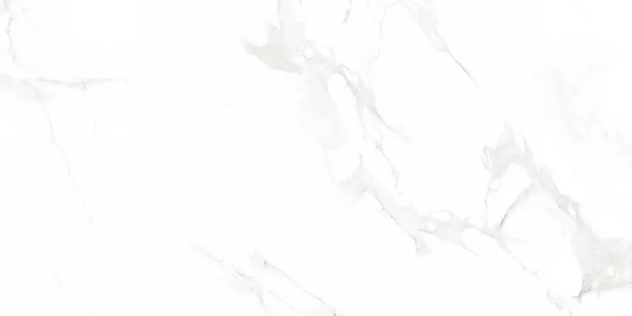 Керамогранит N12003 Venus Bianco Polished 60x120