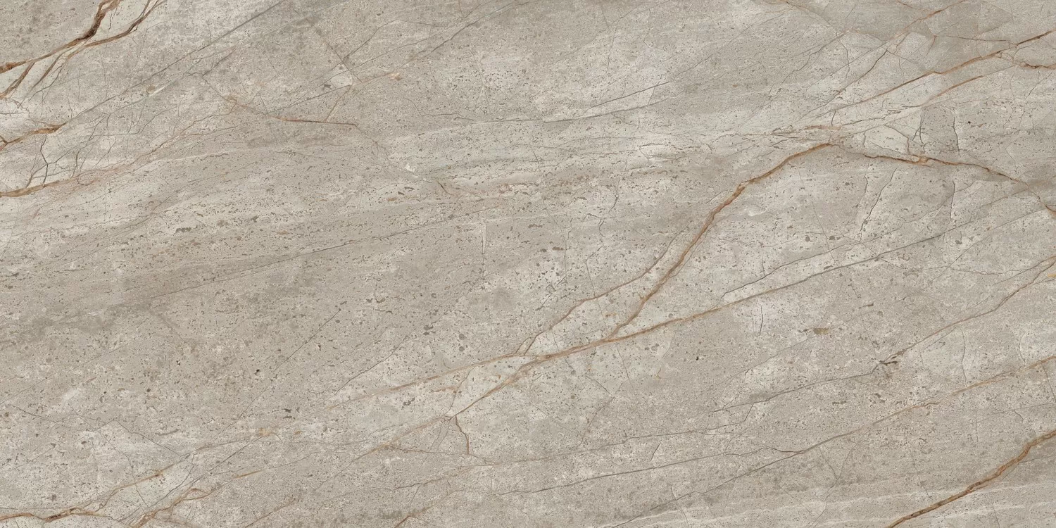 Керамогранит 610010002187 Empire Silver Root 60x120