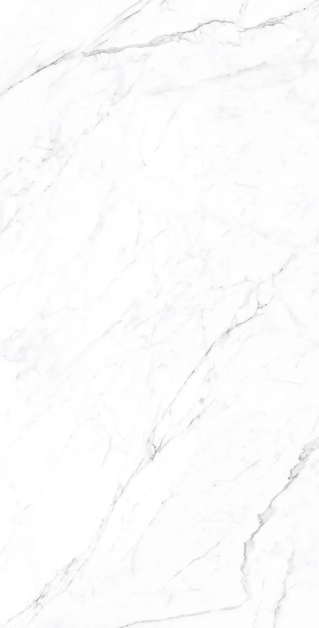Керамогранит CP4003-A Coralina White Carving Pro 60x120