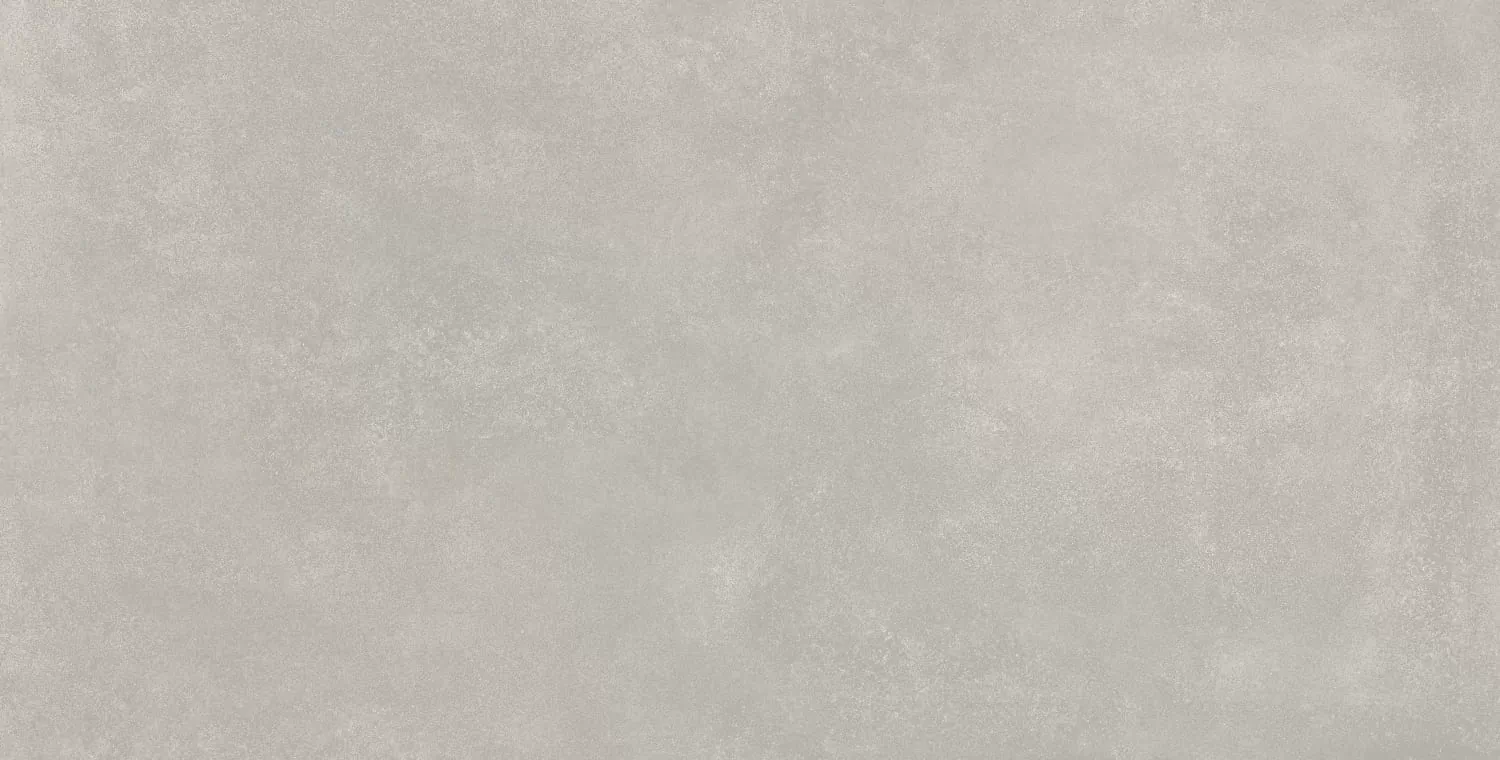 Керамогранит Ess.Wonder Gris Natural 60x120
