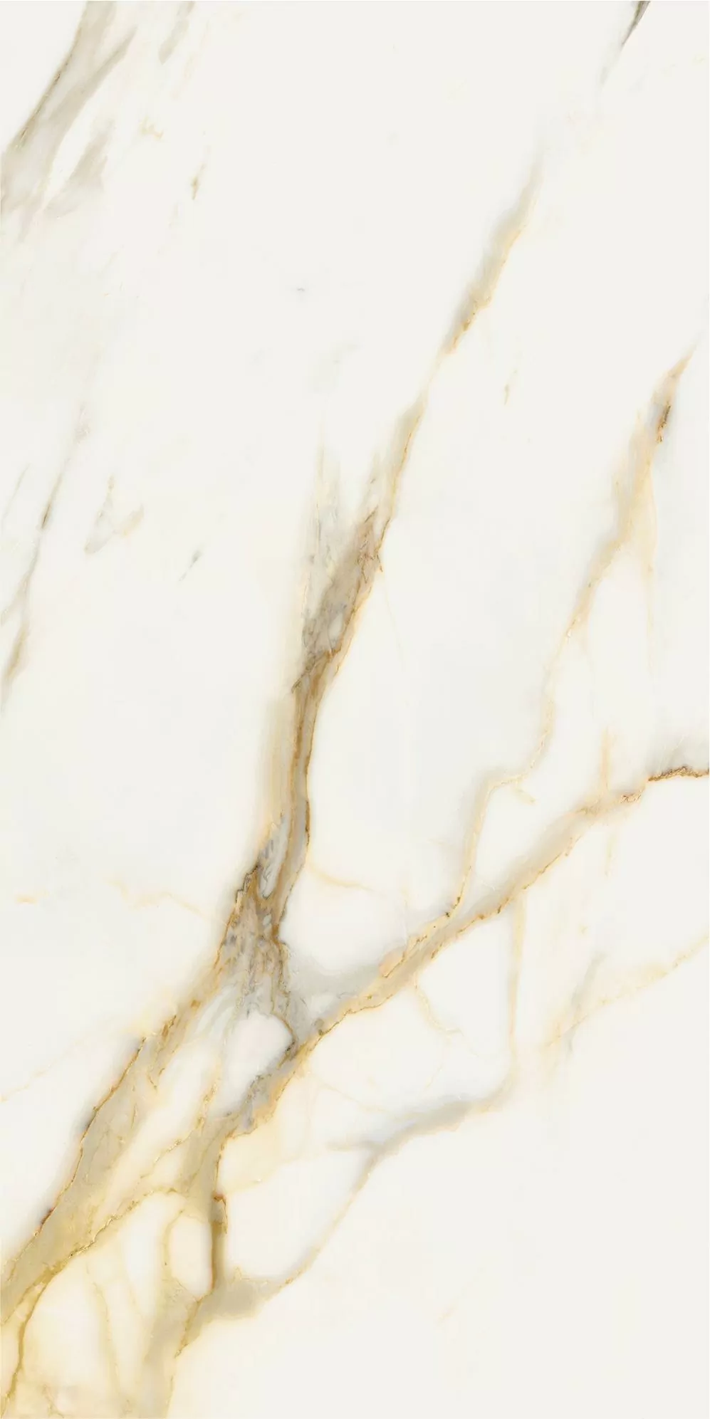 Керамогранит 610010002832 Stellaris Calacatta Gold Nat Ret 60x120