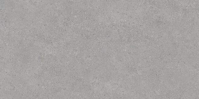 Керамогранит DL500820R Фондамента серый светлый обрезной 60х119,5