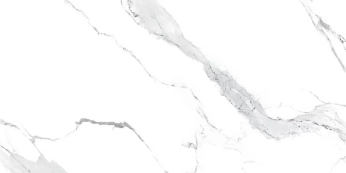 Керамогранит AM22-16 Elite Satuario серебристо белый полированный 120х60