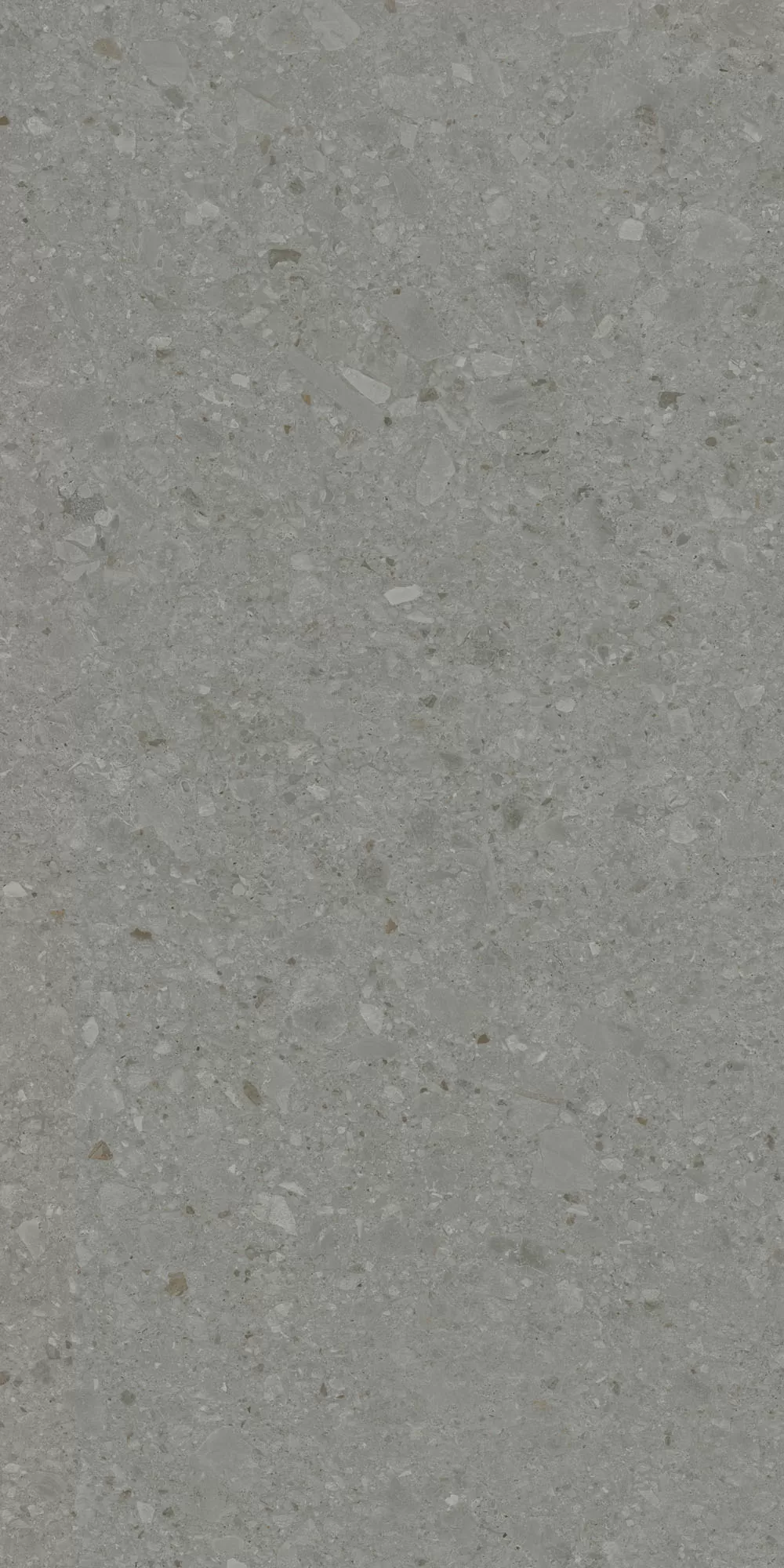 Керамогранит DD591520R Чеппо ди Гре серый тёмный матовый обрезной 119,5x238,5x0,9