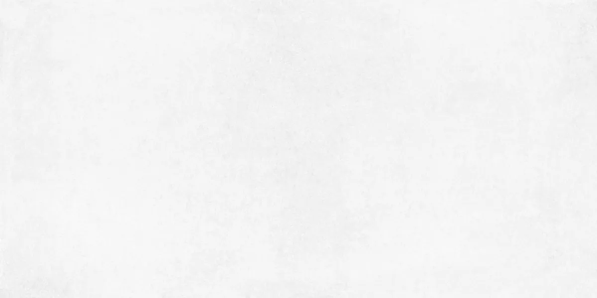 Керамогранит Betonica Blanco PRO светло-серый матовый R10Soft 60х120