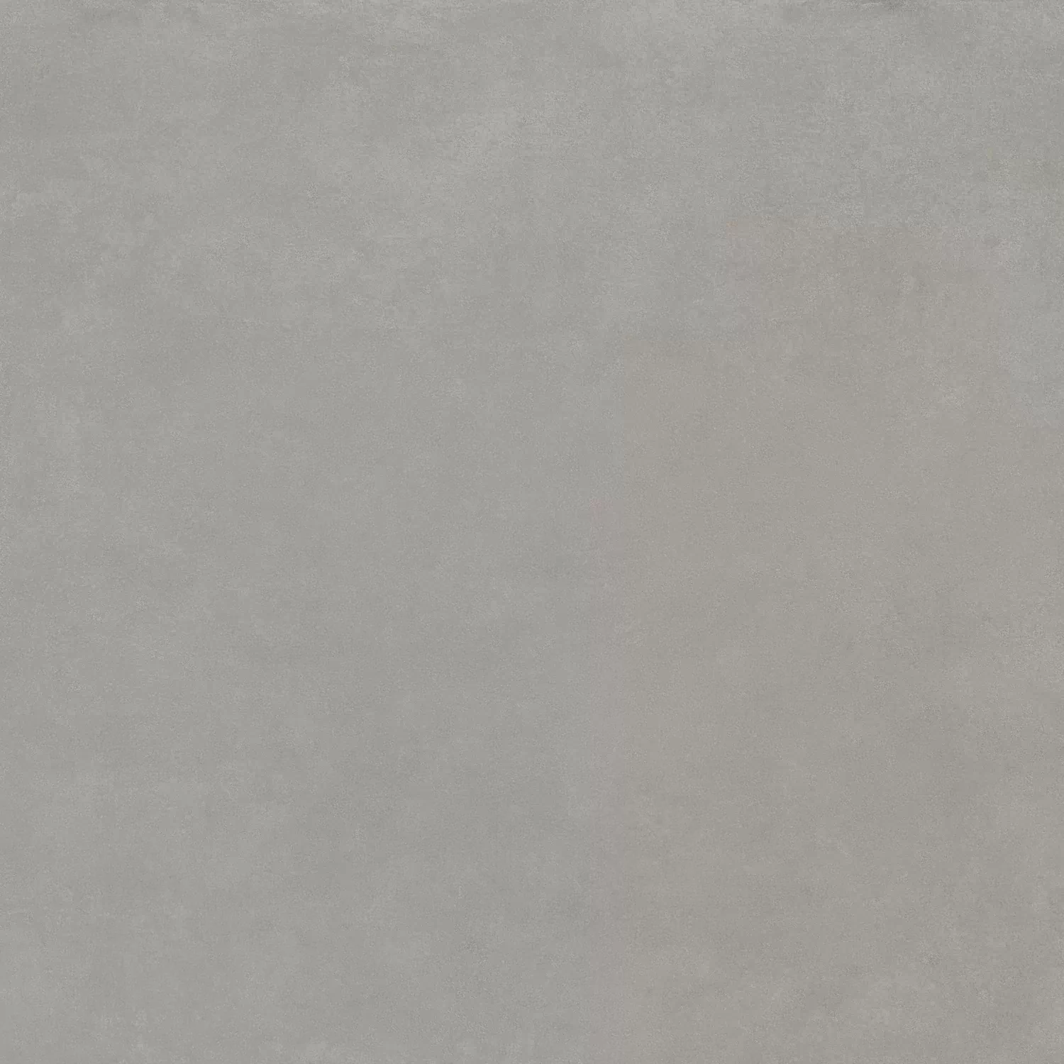 Керамогранит 610010002644 Rinascente Grey Rect R9 80x80