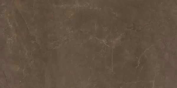 Керамогранит EXEDRA TILES SILK PULPIS 50х100