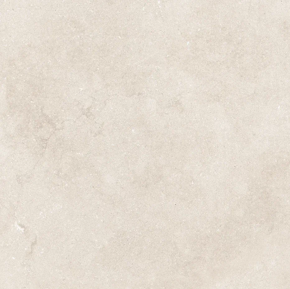 Керамогранит N12051 Eden Light Matt 120x120