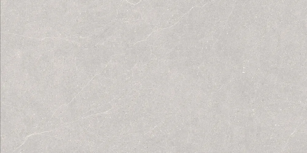 Керамогранит Elenta Ash Carving 60x120