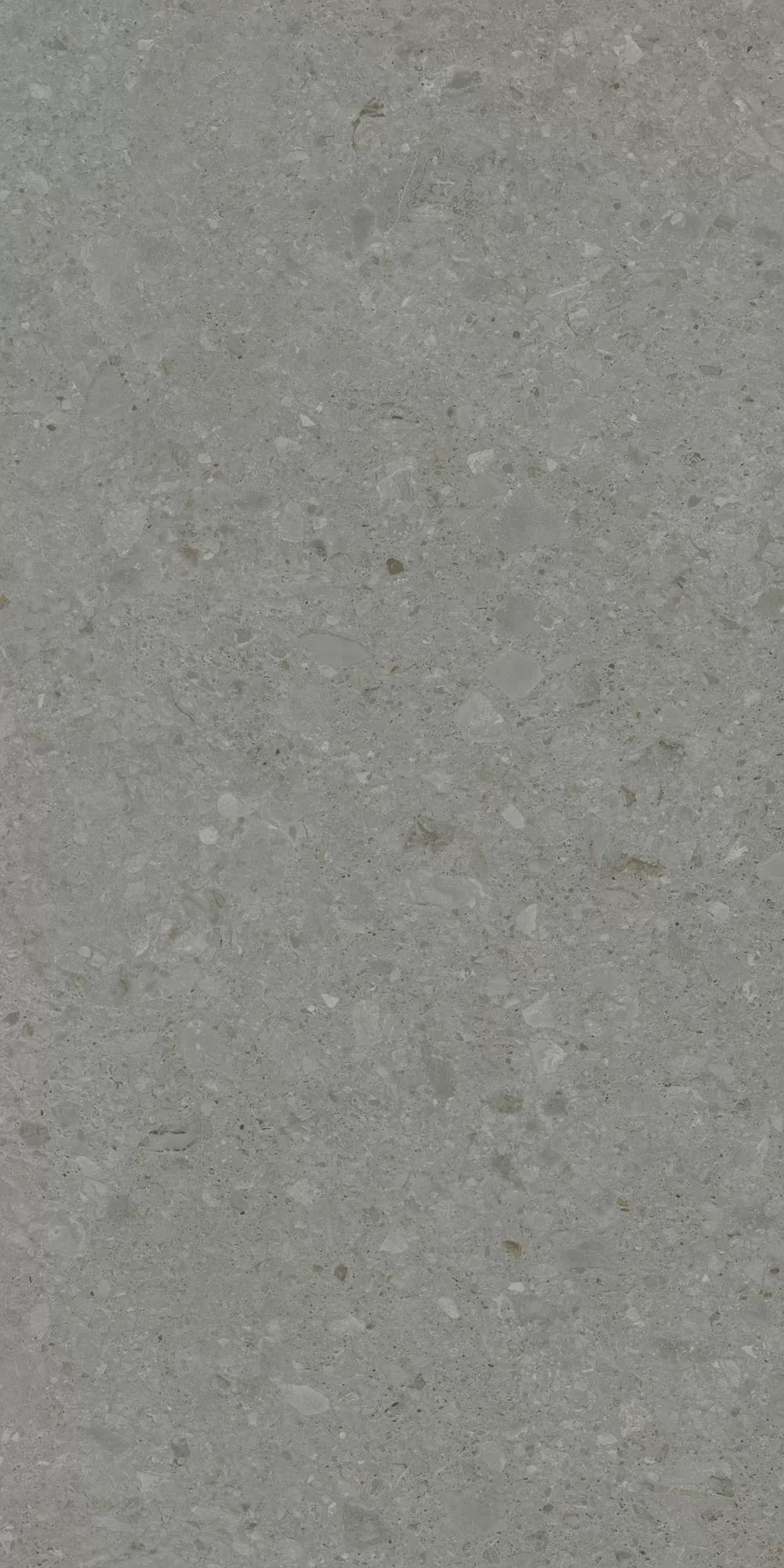 Керамогранит DD591520R Чеппо ди Гре серый тёмный матовый обрезной 119,5x238,5x0,9