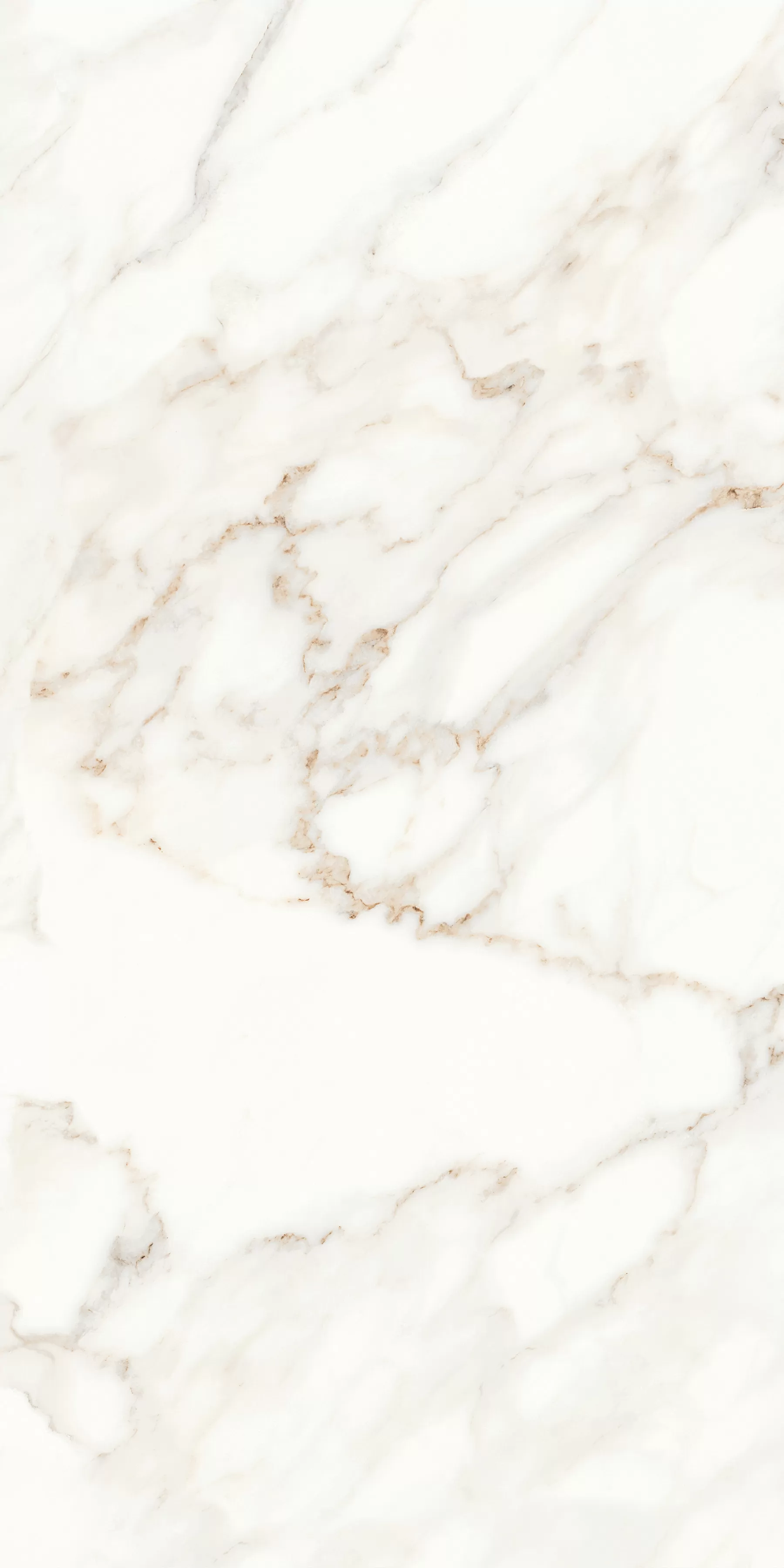 Керамогранит MPL-058623 Calacatta Polished 60x120