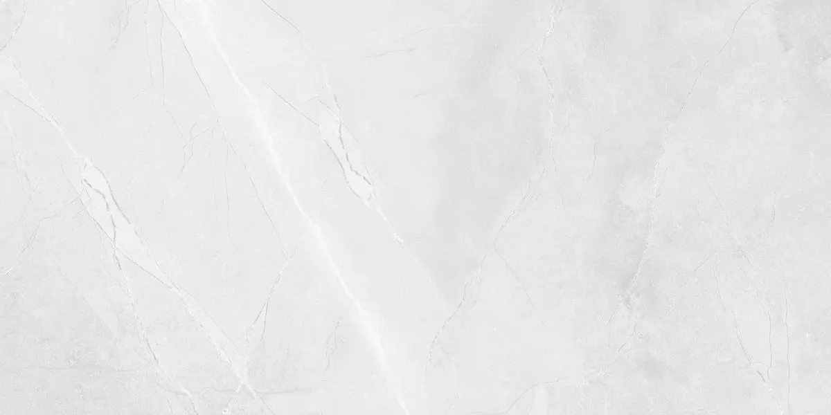 Керамогранит R_PR2015 Floris Bianco Polished 60x120