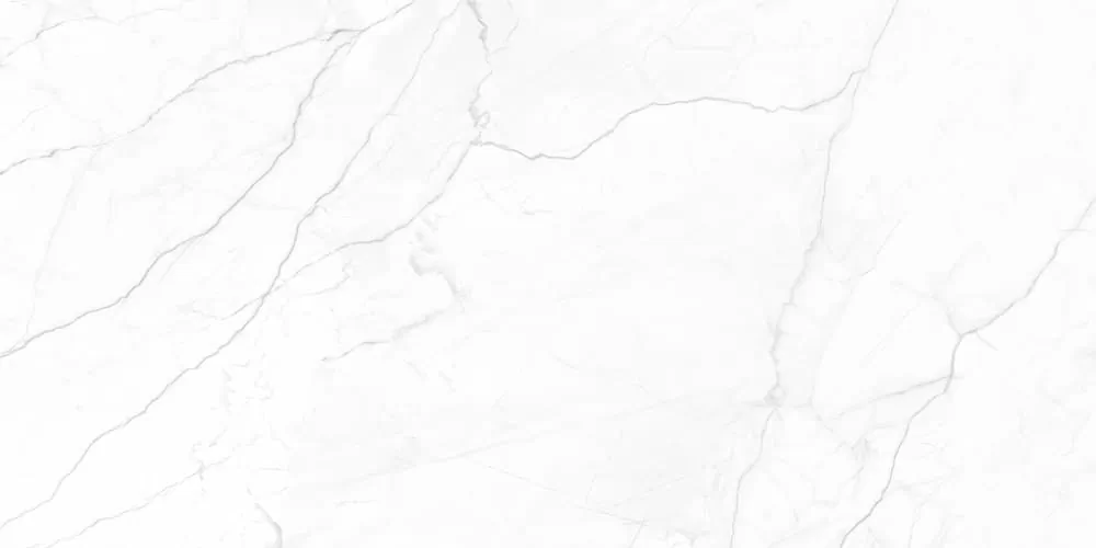 Керамогранит Royal Infinite White 120x60
