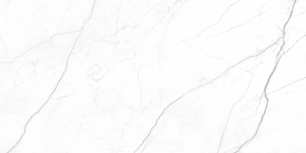 Керамогранит Royal Infinite White 120x60