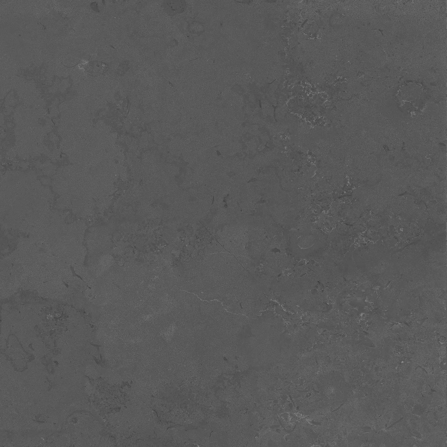 Керамогранит DD640820R Про Лаймстоун серый темный натуральный обрезной 60х60