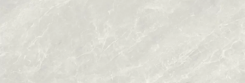 Плитка Balmoral Silver Rectificado 40х120