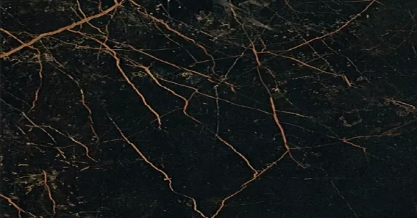 Керамогранит 240063 MARBLE NERO S.LAURENT LAPPATO 58.5x117.5