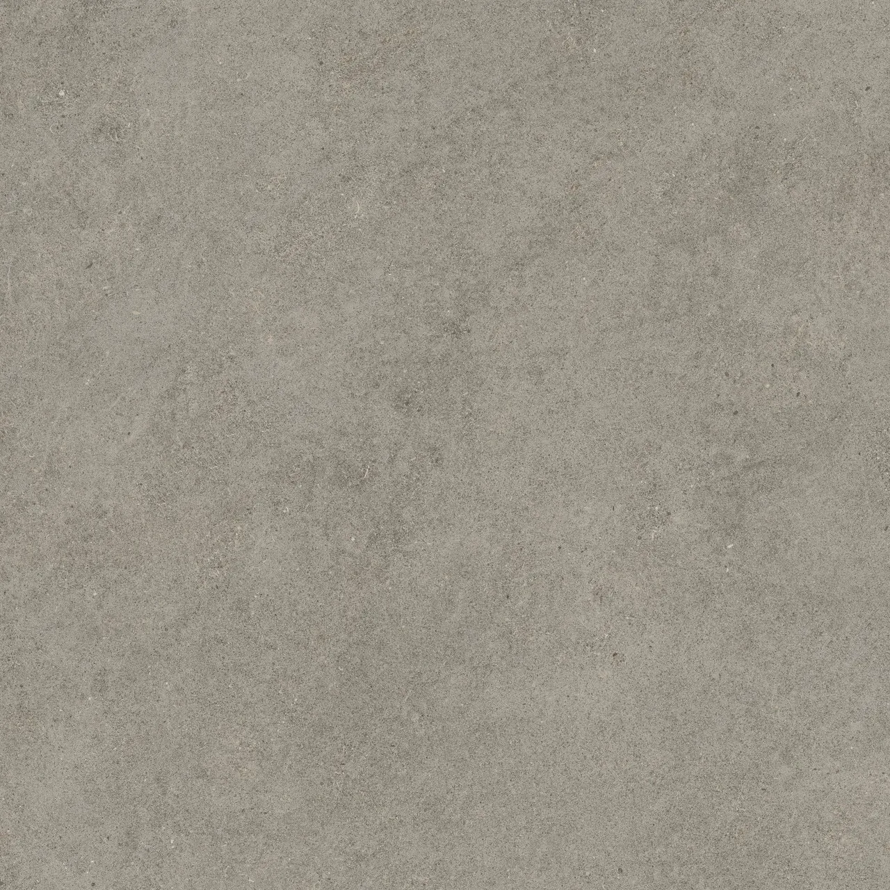 Керамогранит 600010002429 Forte dei Marmi Rock Lunar Grey Matt Rett 120x120
