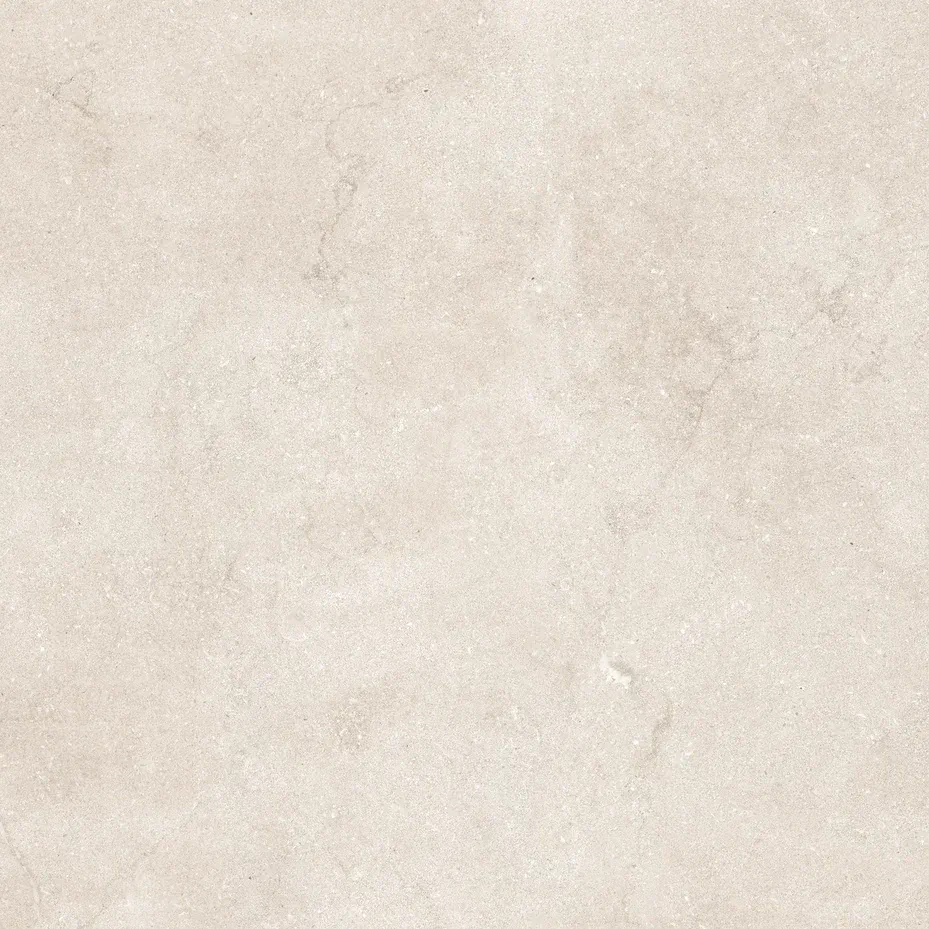 Керамогранит N12051 Eden Light Matt 120x120