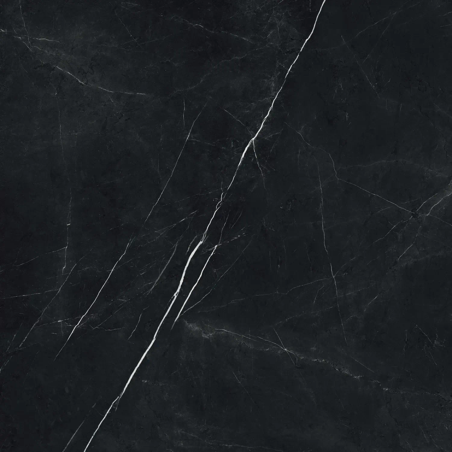 Керамогранит 610010002720 Forte dei Marmi Elegant Black Rett 80x80