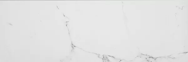 Плитка 100291740 P19814151 Marmol Carrara Blanco 33.3x100