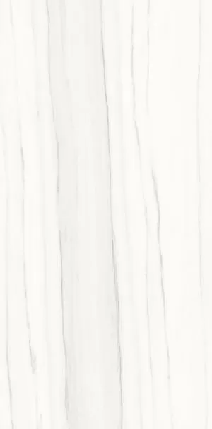 Керамогранит P612517 Zebrino Bianco Soft 60x120