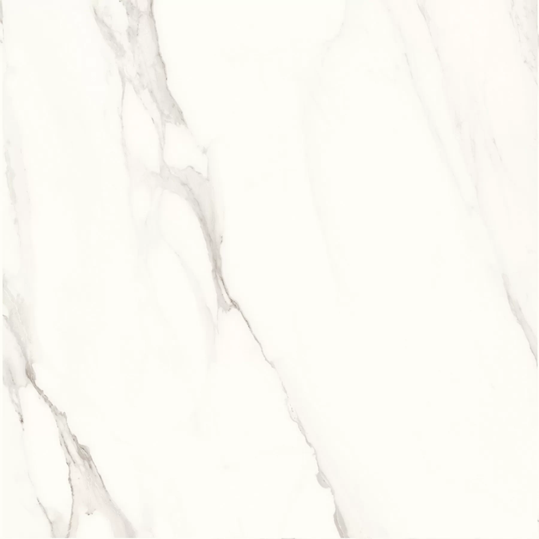 Керамогранит Calacatta Superb полированный 60x60