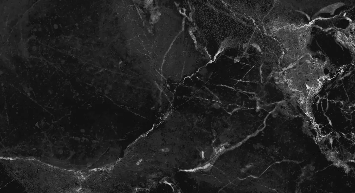 Керамогранит NR005 Dalim Black 60x30
