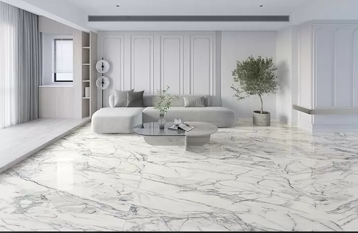 Керамогранит Premiere White Ep 60x120