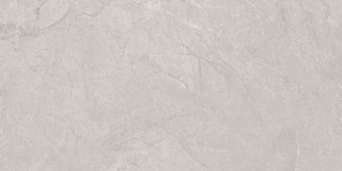 Керамогранит N20555 Aristo Grey Tm 60x120