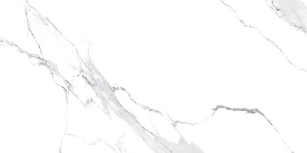 Керамогранит AM22-16 Elite Satuario серебристо белый полированный 120х60