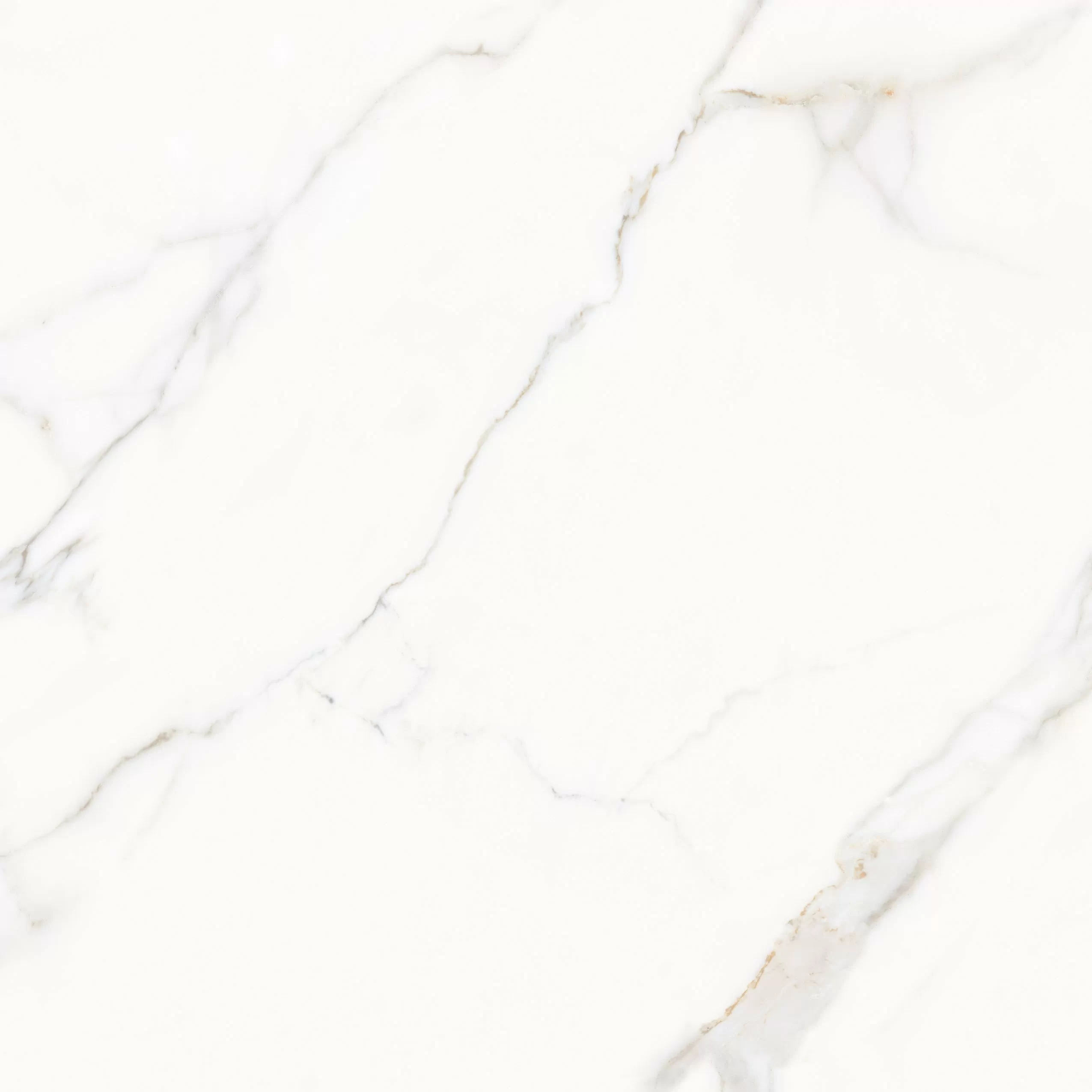 Керамогранит Tokyo White PGVT 120x120