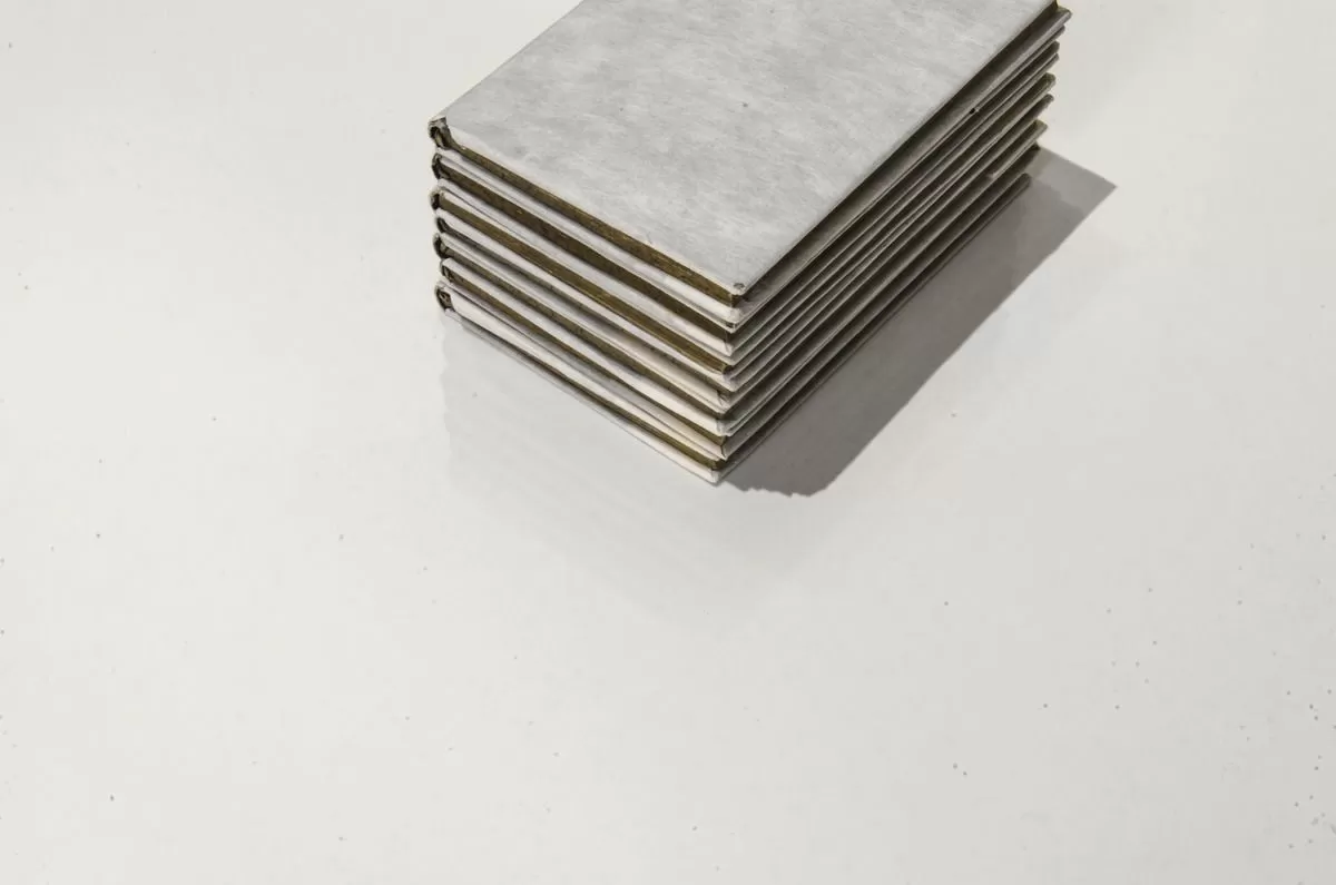 Керамогранит UM6P300691B Patagonia Block B Prelucidato 300x150