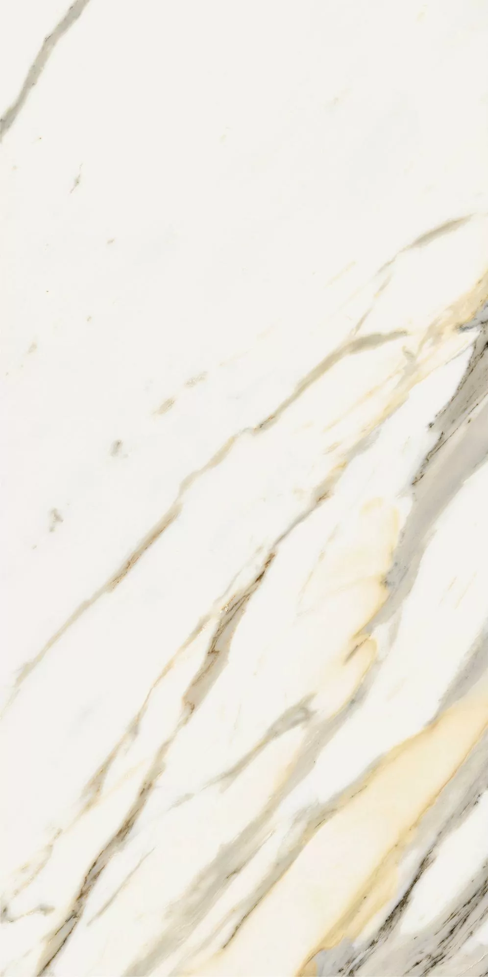 Керамогранит 610010002832 Stellaris Calacatta Gold Nat Ret 60x120