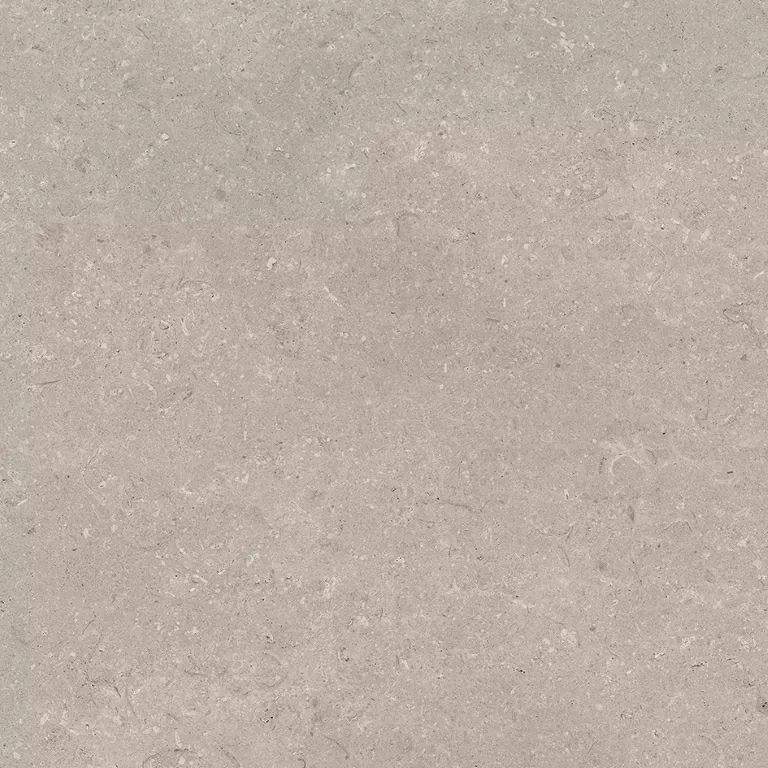Керамогранит 100330200 Coral Topo L 80x80