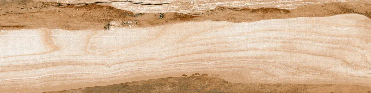 Керамогранит 0054 PHOENIX 60х15х08