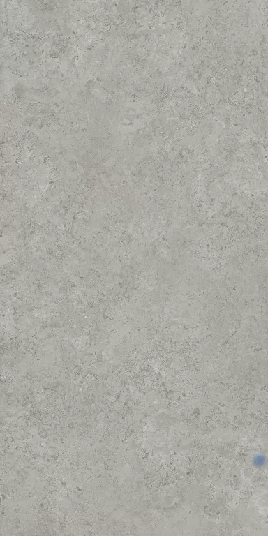 Керамогранит DD590620R Про Лаймстоун АТ серый натуральный обрезной 119,5x238,5x0,9