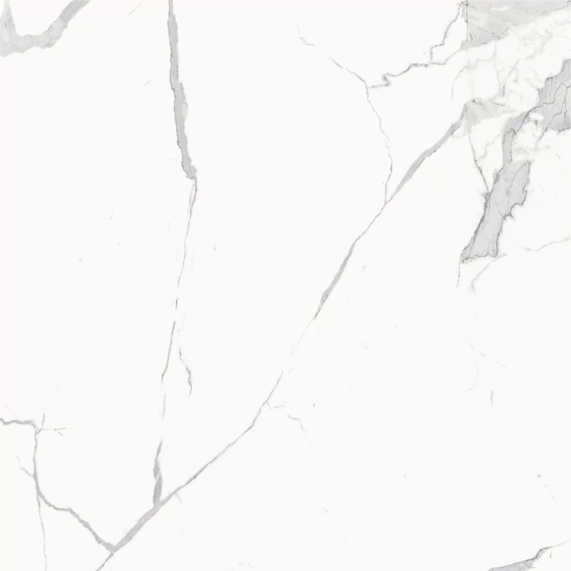 Керамогранит 600010002386 Stellaris Statuario White Nat Ret 120x120