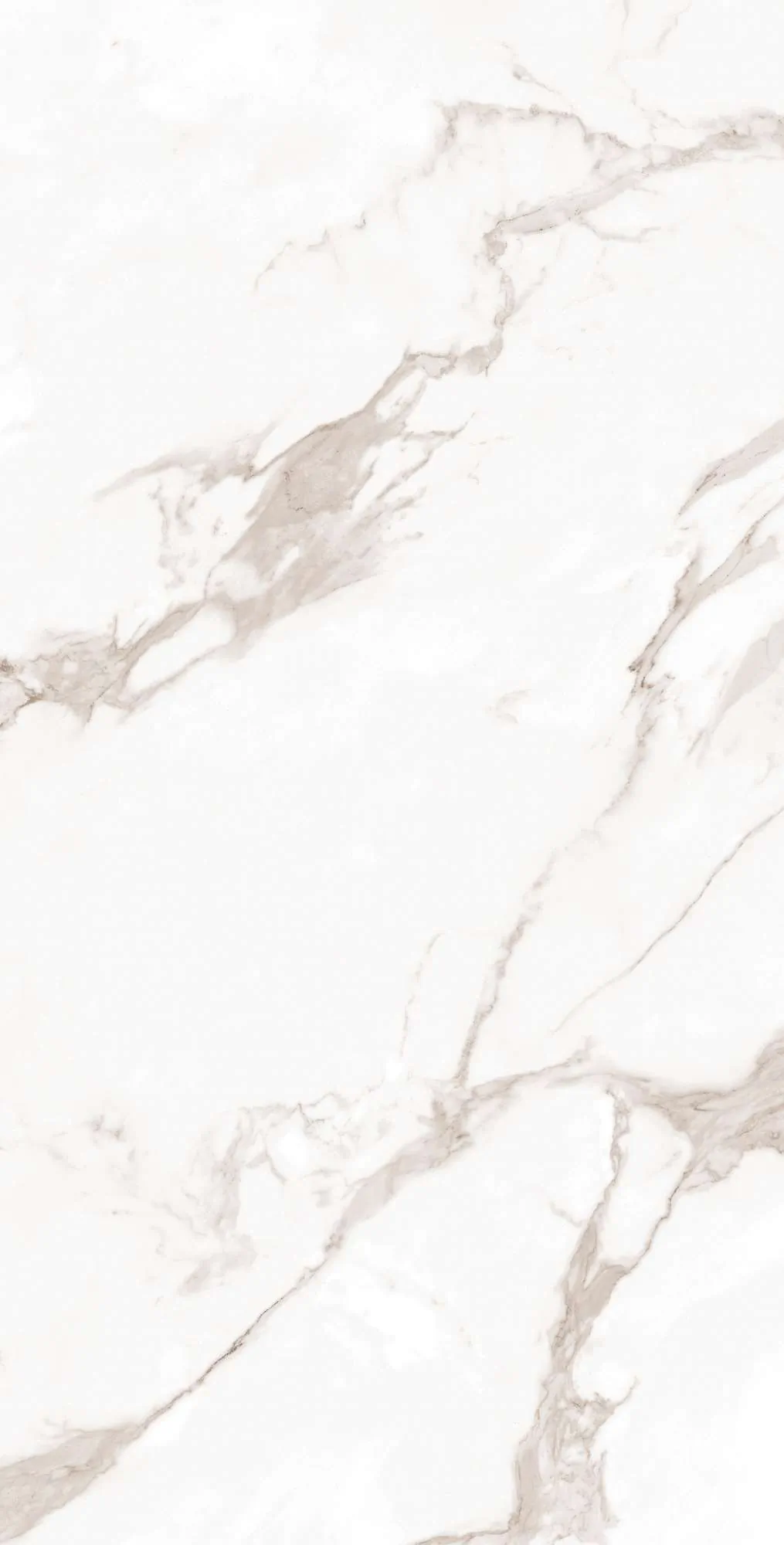 Керамогранит FP1019-A Calacatta Bianco Full Polished 60x120