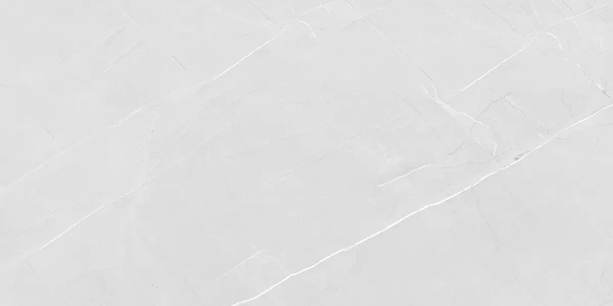 Керамогранит PRO 1166G Armani Bianco 1200x600