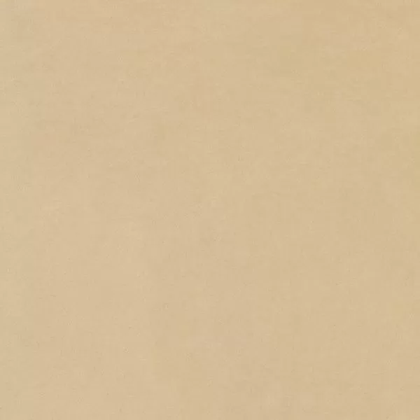 Керамогранит 610015000144 Imagine Beige Lev Rett 60x60