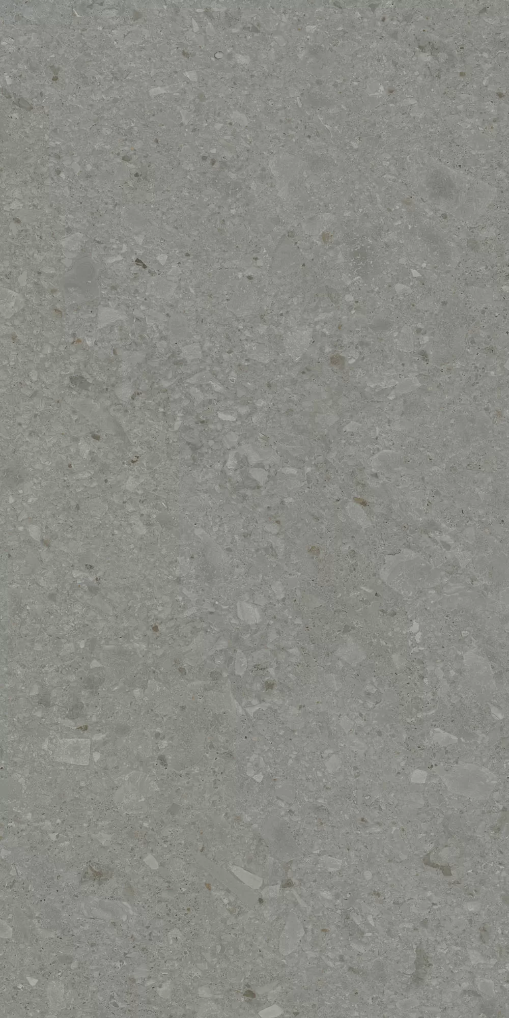 Керамогранит DD591520R Чеппо ди Гре серый тёмный матовый обрезной 119,5x238,5x0,9