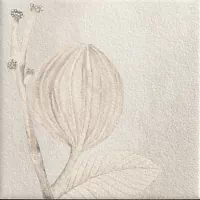 Керамогранит Soft Kamelia White 15x15
