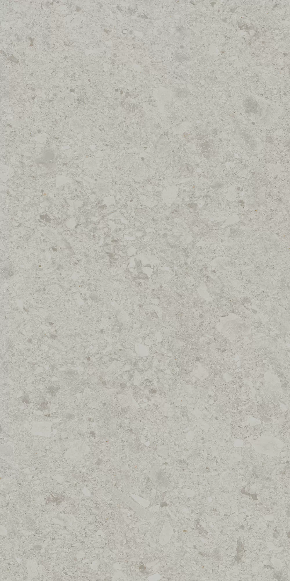 Керамогранит DD591200R Чеппо ди Гре серый светлый матовый обрезной 119,5x238,5x1,1