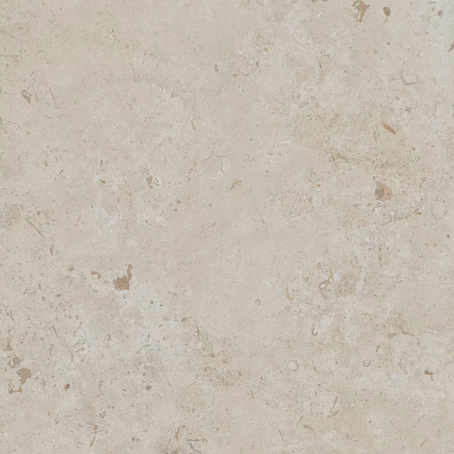 Керамогранит DD641120R Про Лаймстоун бежевый темный натуральный обрезной 60х60