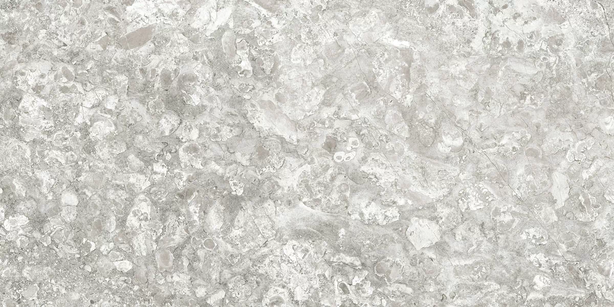 Керамогранит Lunar Grey Light/Лунар Светло-серый MR 120x60