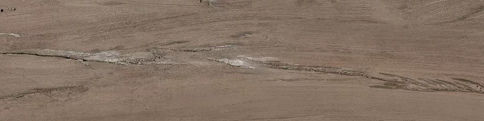 Керамогранит David коричневый 14,7х59,4