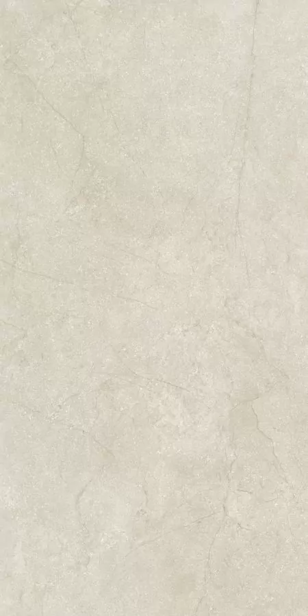 Керамогранит 778710 Stone Life Shell Matte Ret 6mm 120x240