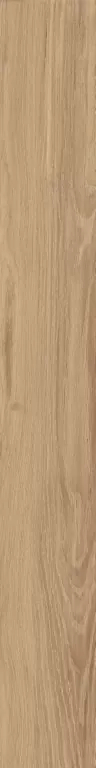 Керамогранит AV02 Alavesa Rusty Beige Неполированный Рект. 19,4x160x11